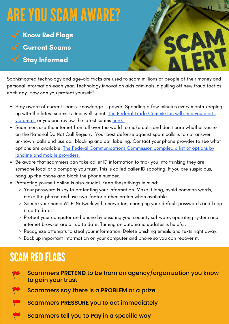 Financial Literacy - Scams